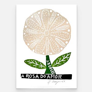 Xilogravura Coleção 