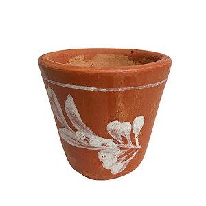 Vasinho de Planta P - Josemar - Maragogipinho - BA
