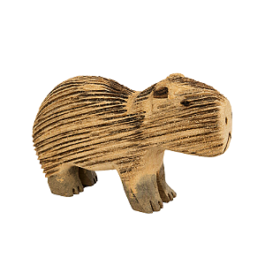 Capivara - Terena - MS