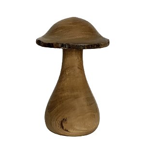 Cogumelo M - Bitim - CE