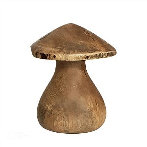 Cogumelo P - Bitim - CE