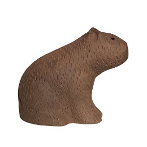 Capivara M - Keila - MS