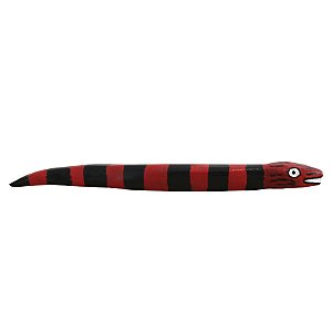 Cobra Coral P - Francisco Graciano - CE