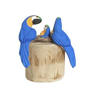 Casal de Arara Canindé com Filhote - Olinda - MS