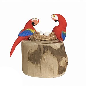 Casal de Arara Vermelha com Ovos - Olinda - MS
