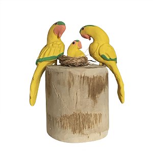 Casal de Arara Amarelinha com Filhote - Olinda - MS