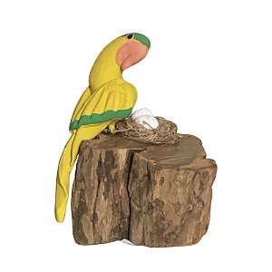 Arara Amarelinha com Ovos - Olinda - MS