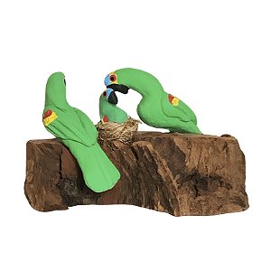 Casal de Arara Verde com Filhote - Olinda - MS