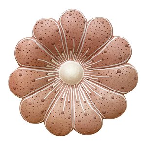 Flor de Parede 12Cm Rosa - Aline - Vale do Jequitinhonha - MG