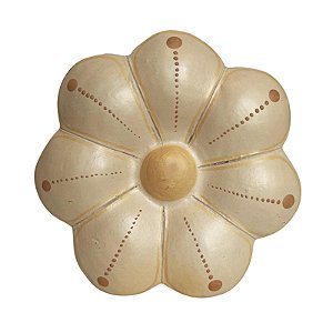 Flor de Parede 10Cm Bege Claro - Claudia - Vale do Jequitinhonha - MG