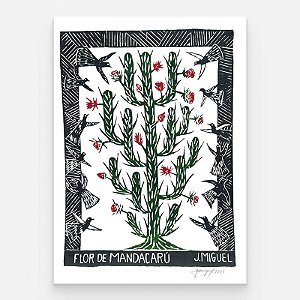 Xilogravura "Flor de Mandacaru" G - J. Miguel - PE
