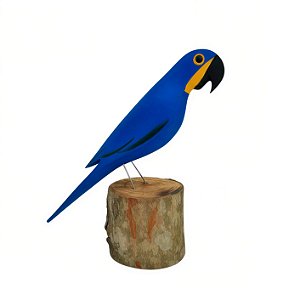 Arara Azul no Tronco - João Carlos - MG