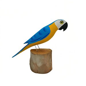 Arara Canindé no Tronco - João Carlos - MG