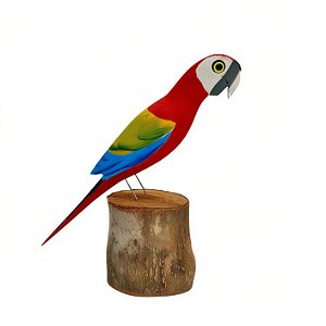 Arara Vermelha no Tronco - João Carlos - MG