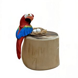 Arara Vermelha com Ovos - Olinda - MS