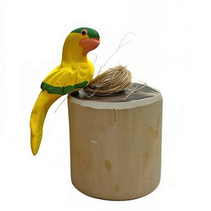 Arara Amarelinha com Ovos - Olinda - MS