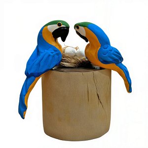 Casal de Arara Canindé com Ovos - Olinda - MS