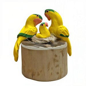 Casal de Arara Amarelinha com Filhote - Olinda - MS