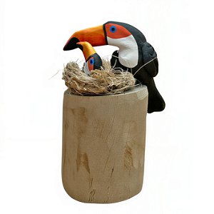 Tucano com Filhote - Olinda - MS