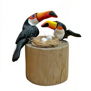 Casal de Tucano com Ovos - Olinda - MS