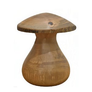 Cogumelo P - Bitim - CE