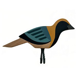 Passarinhos Variados - Curral da Cor - MG