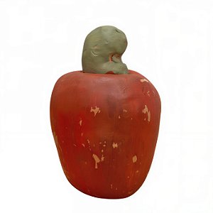 Caju G Vermelho - Edna - BA