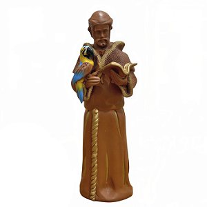 São Francisco Pantaneiro com Arara Canindé - Leslei - MT