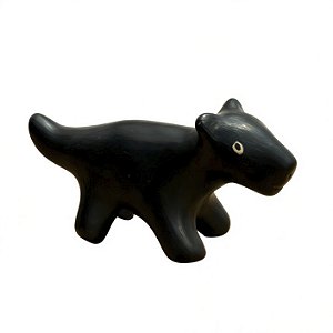 Onça PP - Etnia Waurá - MT