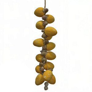Arranjo de Fruta - BA