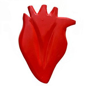 Coração Vermelho M - Jair - MG