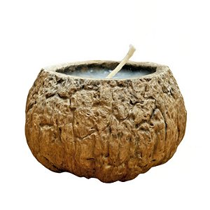 Vela no Ouriço da Castanha de Canela - Carlos - AC