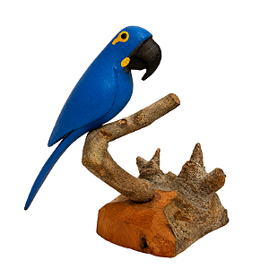 Base com Arara Azul - Santa Brígida - BA