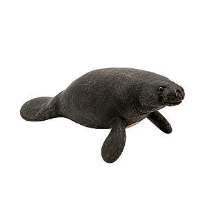 Peixe Boi de Balata - Etnia Macuxi - RR