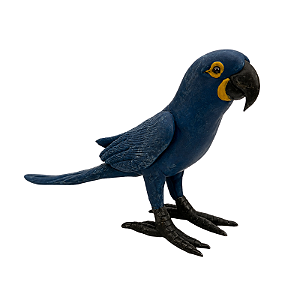 Arara Azul de Balata - Etnia Macuxi - RR