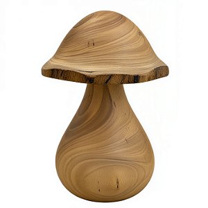 Cogumelo M - Bitim - CE