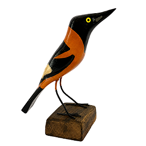 Corrupião Laranja na Base M - Joalisson - PB