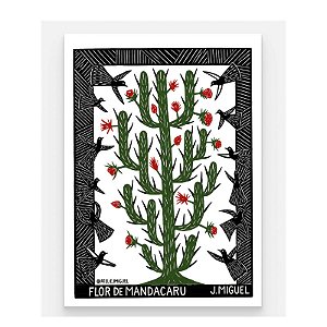 Imã Xilo Flor de Mandacaru - J. Miguel - PE