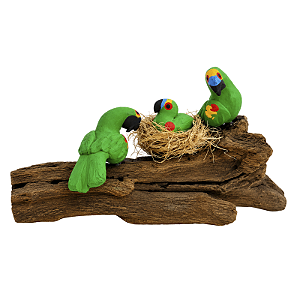 Casal de Arara Verde com Filhote - Olinda - MS