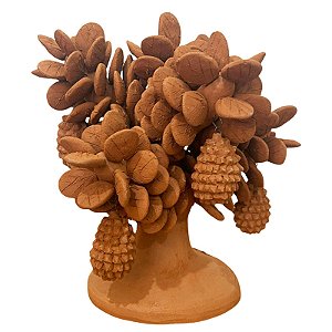 Jaqueira Cerâmica 20cm - Sil da Capela - AL