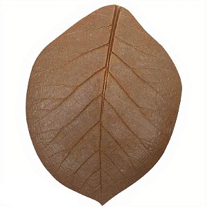Folha em Látex GG Apuí Marrom - Kazumbá - AC