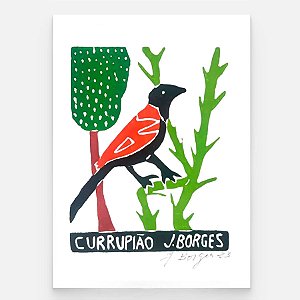 Xilogravura Currupião P - assinada por J. Borges - PE (Última peça)