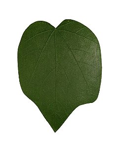 Folha em Látex M Algodoeiro Verde - Kazumbá - AC