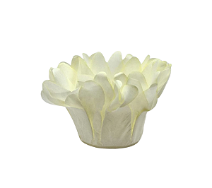 Forminha Madri Amarelo Bebê 50Un