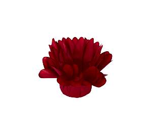 Forminha Madri 50Un Vermelho