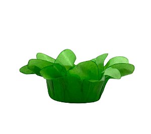 Forminha Lirio Verde Limao 40Un