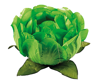 Forminha Bela 40 Un Verde Limao Claro