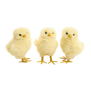 Trio Pintinhos Decorativo Amarelo Páscoa Fazendinha