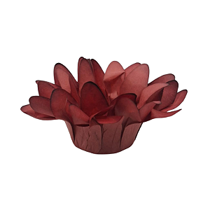 Forminha p Doces Melissa Terracota 50Un