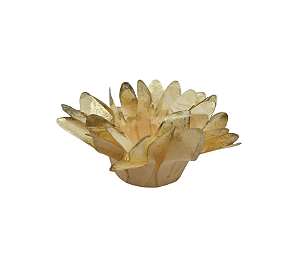 Forminha p Doces Melissa Imperatriz Gold 50Un